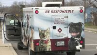Unleashed dog bites man at Northwest Side motel, ACS says