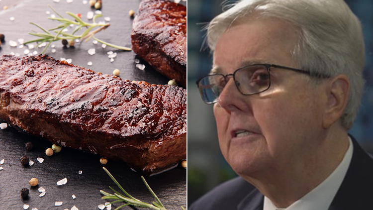 Lt. Gov. Dan Patrick wants the 'New York Strip' to become the 'Texas Strip'