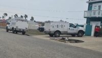 55 cats confiscated from Padre Island home, Animal Care Services says