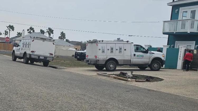 55 cats confiscated from Padre Island home, Animal Care Services says