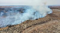 Texas lawmakers taking steps to protect against future wildfires