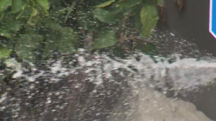 Handheld watering allowed again as city council OKs updated drought contingency plan