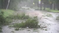 Beryl, Helene, and Milton being retired from hurricane name list after 2024's catastrophic damage