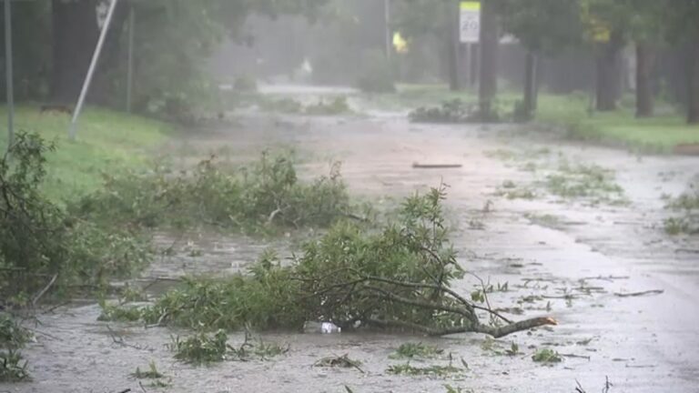 Beryl, Helene, and Milton being retired from hurricane name list after 2024's catastrophic damage