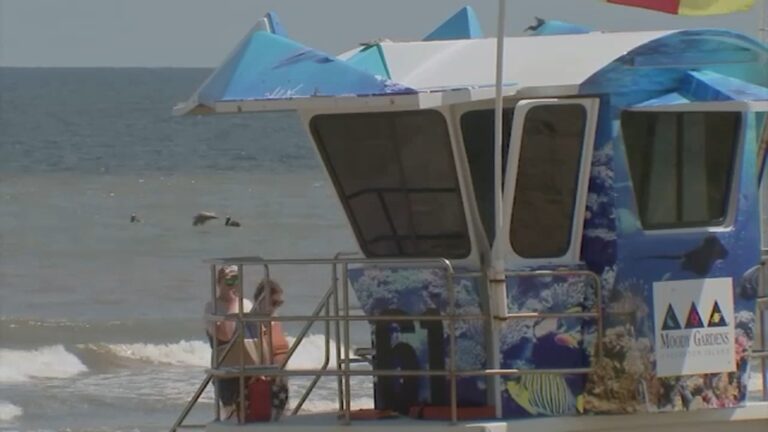 Galveston Park Board decides to take no action against beach patrol chief Peter Davis