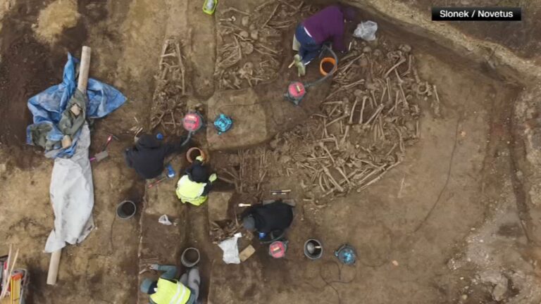 A mass grave for fighters in a Roman Empire-era battle is revealed in Vienna