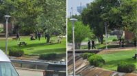 1 detained, another person fled traffic stop near St. Mary’s University, police say