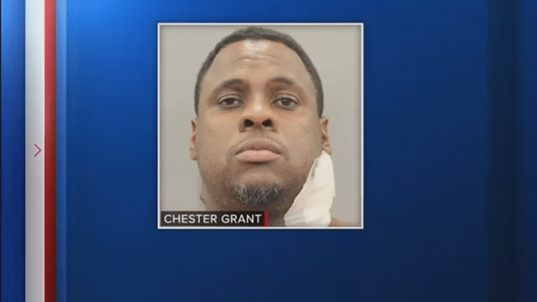 Roommate stabbed woman 28 times after fight over cat, records say