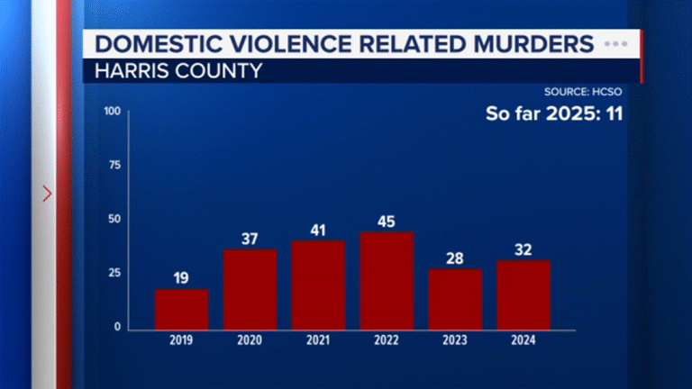 HCSO: Roughly 30% of all murders in the county related to domestic violence