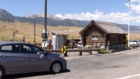 Florida man gored by bison in year's first attack by Yellowstone's most dangerous wild animal