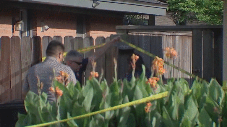 HPD working to identify remains found inside plastic container in makeshift shed in SE Houston