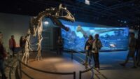 Federal judge issues injunction to restore Institute of Museum and Library Services
