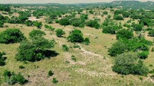 Sprawl stopper: Heart of Texas Conservancy joins other land trusts to protect Hill Country