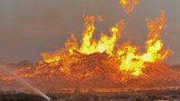 Large fire near Alice and San Diego will likely have to 'burn itself out'