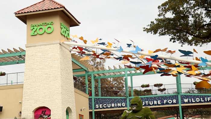 San Antonio Zoo to offer $8 admission on Sunday for Locals Day