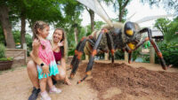 A big buzz is coming to the San Antonio Zoo