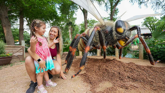 A big buzz is coming to the San Antonio Zoo