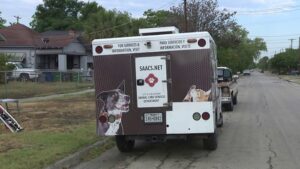 Teen on bike escapes with minor injuries after East Side dog attack, ACS says