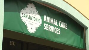 Animal Care Services to unveil new spay and neuter clinic on East Side