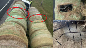 12 immigrants found hidden in hay bales during Texas traffic stop, deputies say