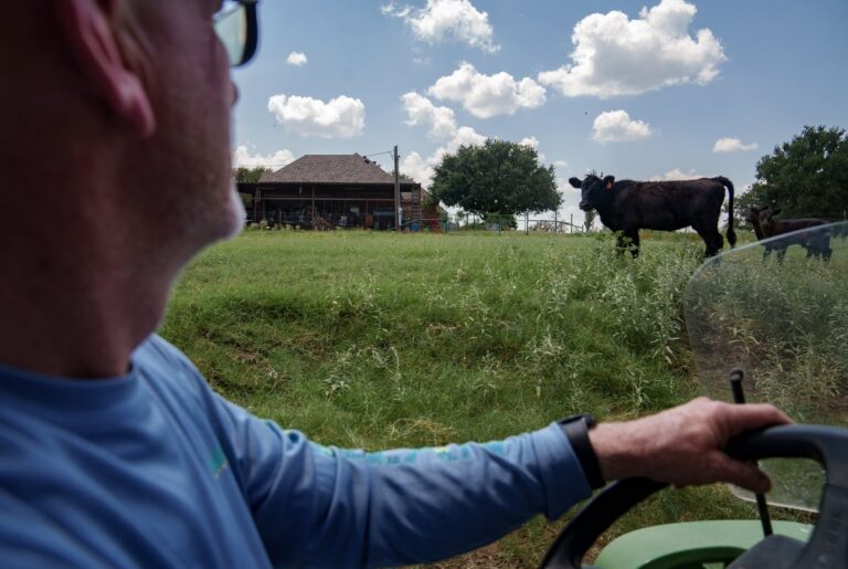 Texas bill seeking to keep toxic “forever chemicals” off farmland misses key deadline