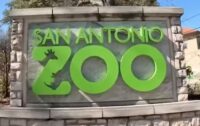 New bills aim to combat trespassing at Texas zoos