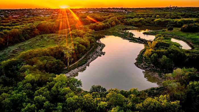 Renderings revealed for San Antonio’s first arboretum
