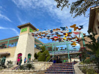 💐 Things to do in San Antonio this weekend: Mother’s Day, Tacos and Tequila Fest, Locals Day at San Antonio Zoo