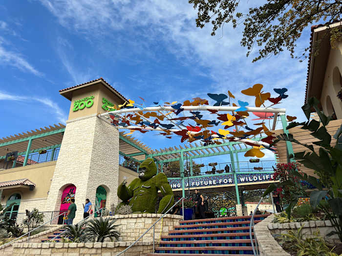 💐 Things to do in San Antonio this weekend: Mother’s Day, Tacos and Tequila Fest, Locals Day at San Antonio Zoo