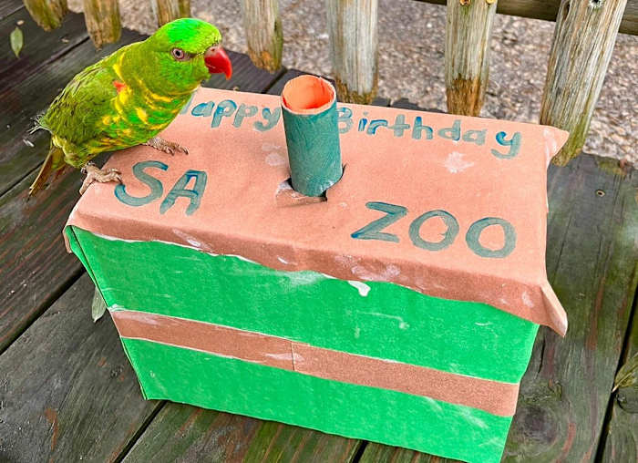San Antonio Zoo celebrates 111th birthday with cupcakes, live music