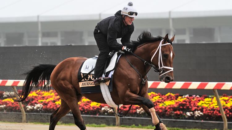 Journalism is the horse to beat in the Preakness. But recent trends show it won't be easy