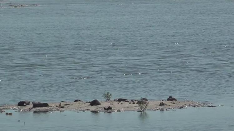 Port Aransas plans new wastewater plant to keep up with growth