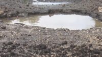 Jim Wells County commissioners look at alternative funding sources for street repairs