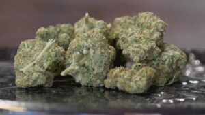 'None of us want to leave, but we have to': Looming THC ban forces Corpus Christi business to relocate