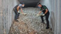Thai officials seize over 200 tons of electronic waste illegally imported from the US