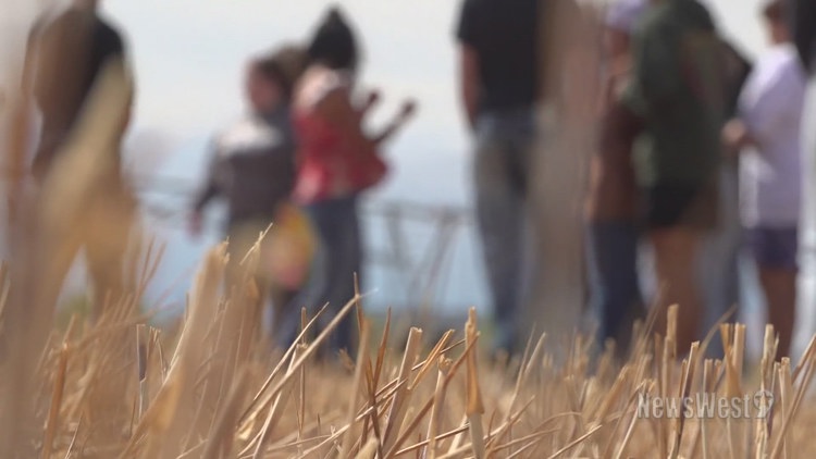 From classrooms to cattle: Andrews ISD students take learning outdoors