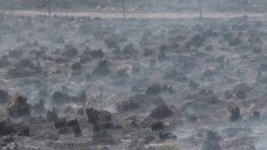 75% contained, multiple fire units work to contain grass fire near Odem