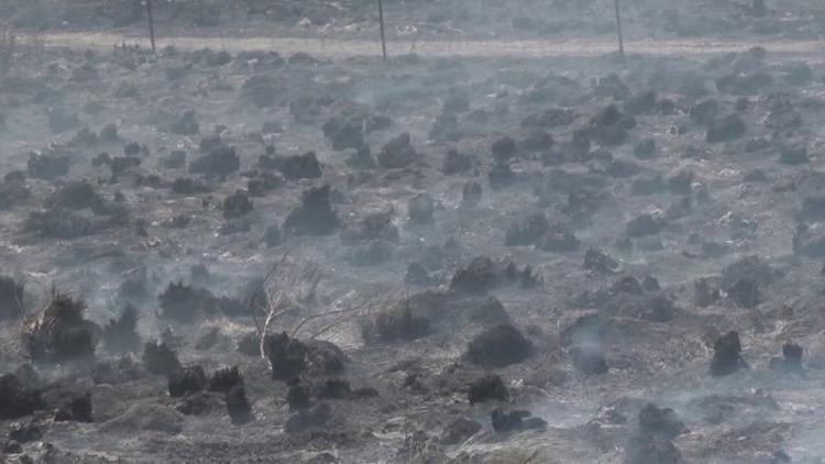 75% contained, multiple fire units work to contain grass fire near Odem