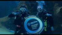 Texas State Aquarium in Corpus Christi ranked one of the best in the nation by USA Today
