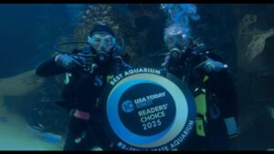 Texas State Aquarium in Corpus Christi ranked one of the best in the nation by USA Today