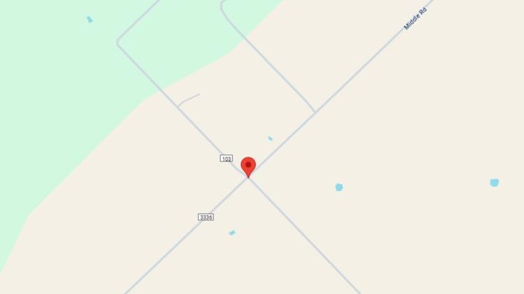 Crash near George West leaves 2 dead, driver arrested on DWI charges