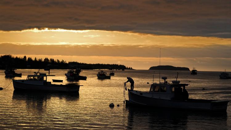 Trump's proposed budget would cut ocean-monitoring system, leaving the maritime community scrambling for info