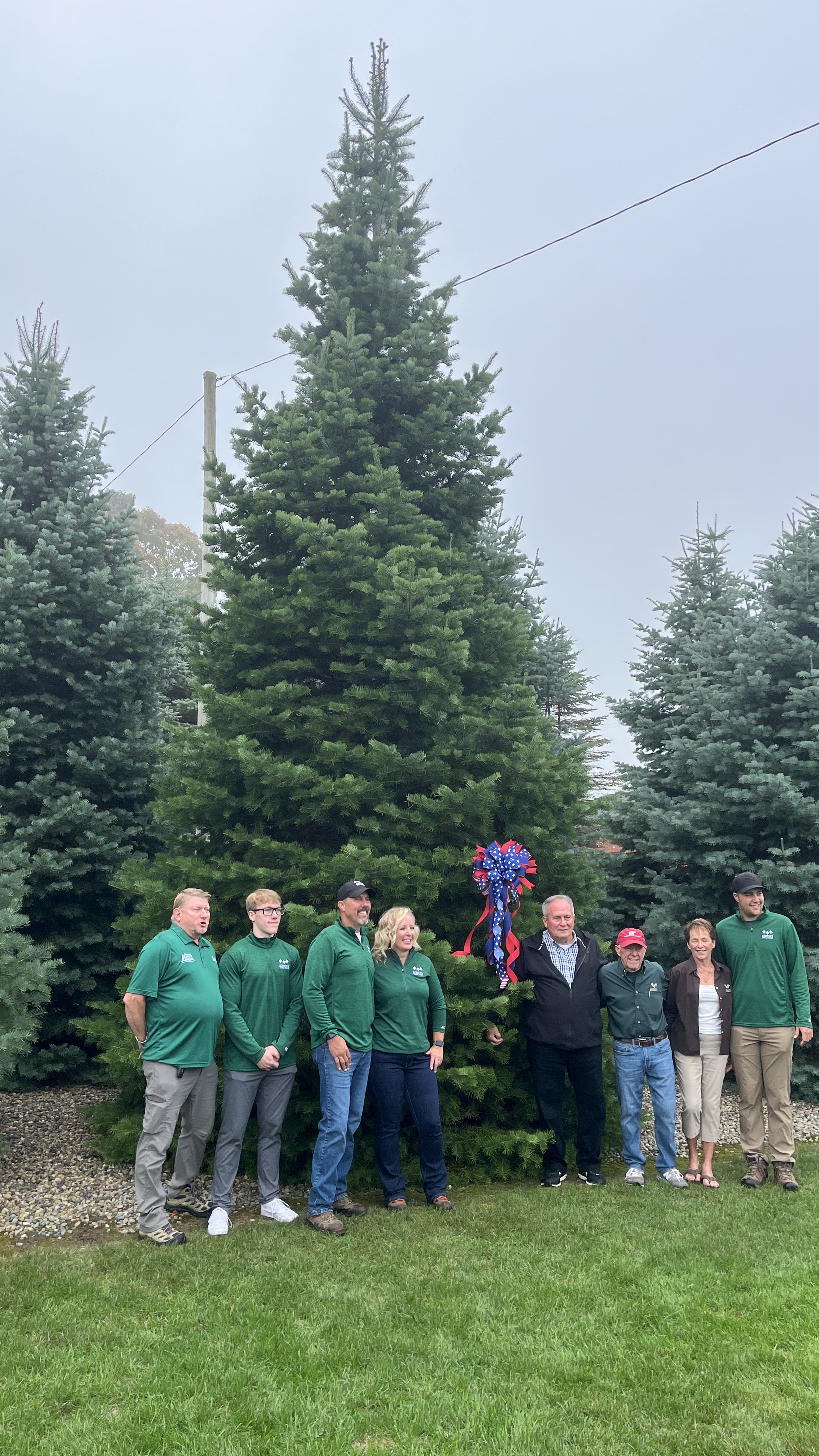 white house christmas trees